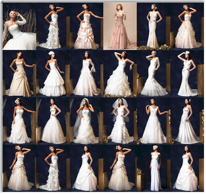 the wedding gown_fashion gown_Designer Gown_wedding dresses